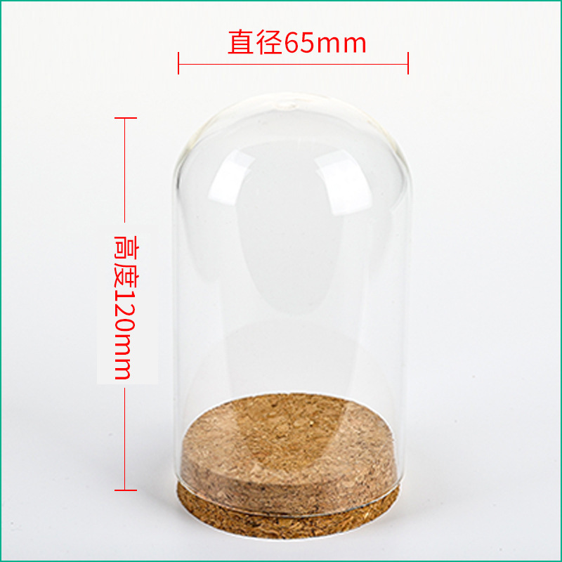 36pcs D65XH120mm Empty Clear G - Wedding Zoo avis et prix