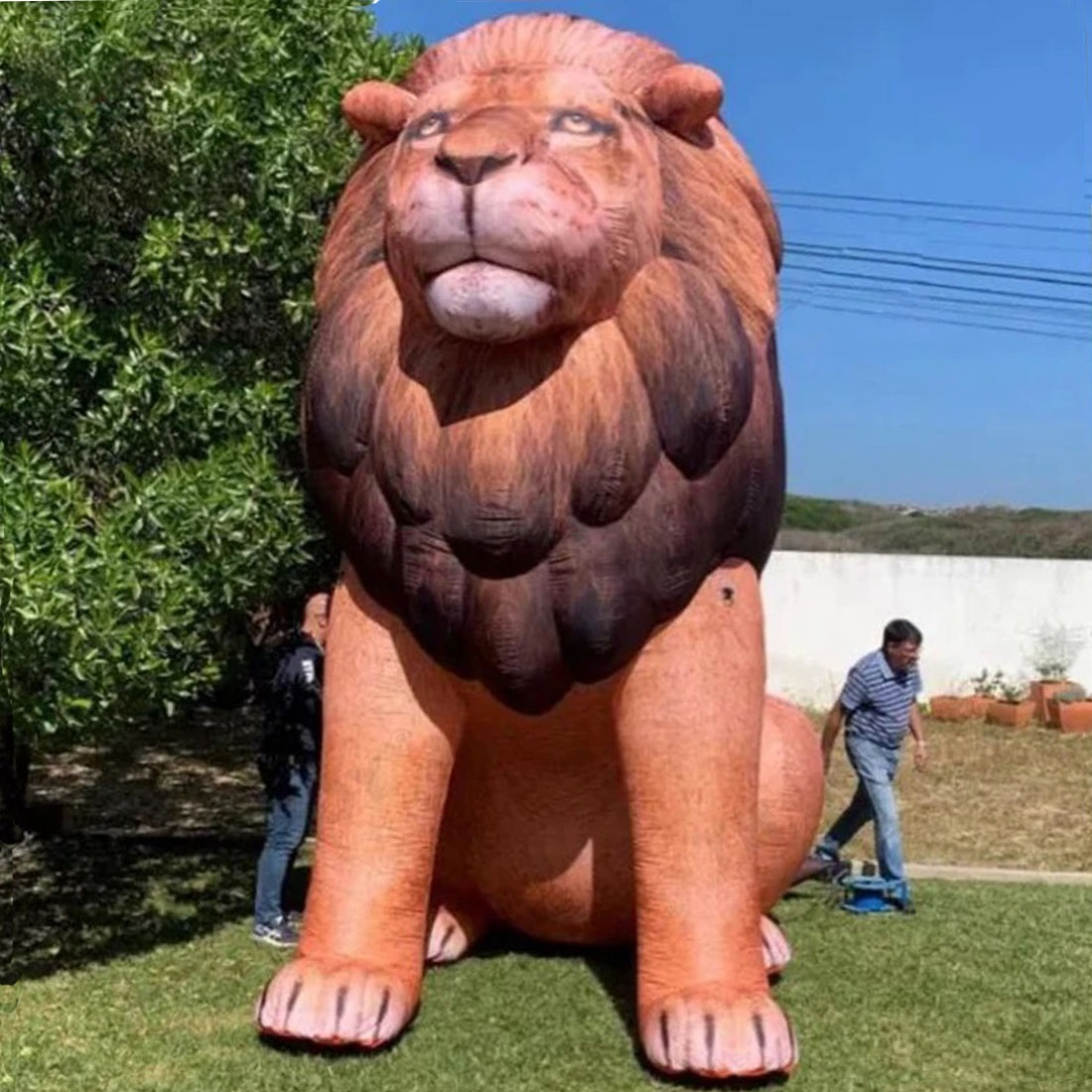 Giant LED Inflatable Lion Real - Wedding Zoo avis et prix